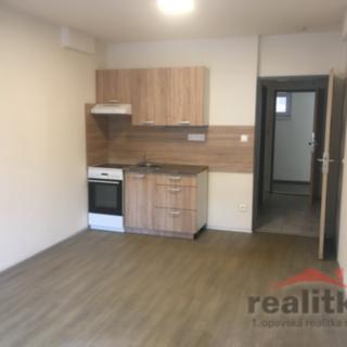 Pronájem bytu 1+kk a garsoniéry 30 m² Opava Předměstí, Hany Kvapilové