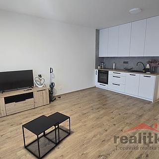 Pronájem bytu 1+kk a garsoniéry 42 m² Opava Předměstí