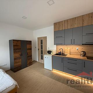 Pronájem bytu 1+kk, garsoniery, 24m²