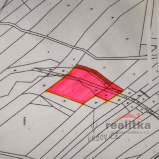 Prodej louky 7 788 m² Vršovice