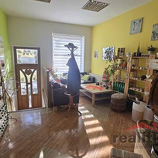 Prodej obchodu 37 m² Opava Předměstí, Nákladní