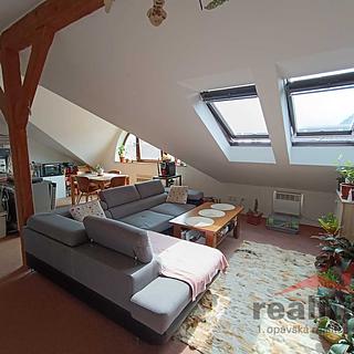 Pronájem bytu 2+kk 58 m² Opava Předměstí, Polní