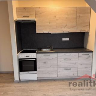 Pronájem bytu 2+kk 55 m² Litultovice
