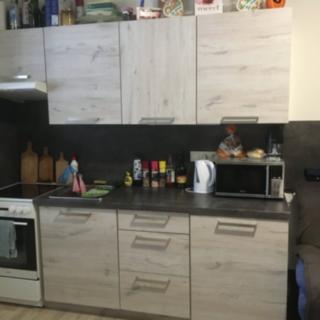 Pronájem bytu 2+kk 32 m² Opava Předměstí, Rybářská