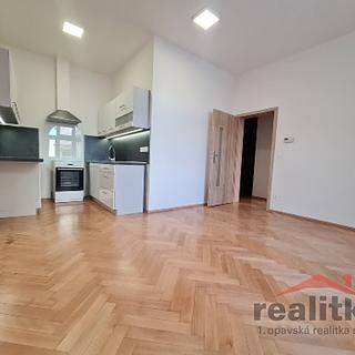 Pronájem bytu 2+kk 47 m² Opava