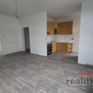 Pronájem bytu 2+kk 61 m² Opava Předměstí, Palackého
