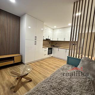 Prodej bytu 1+kk a garsoniéry 21 m² Opava Kateřinky, Grudova