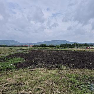 Prodej stavební parcely 631 m² Dolní Dunajovice, Pálavská