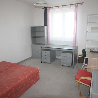Pronájem pokoje 45 m&sup2; Plzeň
