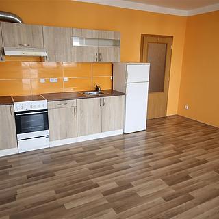 Prodej bytu 1+kk a garsoniéry 39 m² Plzeň Jižní Předměstí, Goldscheiderova