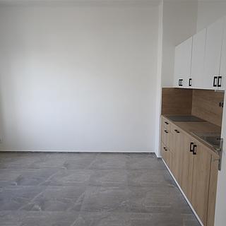 Pronájem bytu 2+1 67 m² Plzeň Východní Předměstí, Pařížská