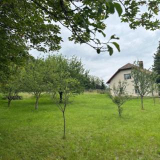 Prodej zemědělské usedlosti 310 m² Chraštice Chraštičky