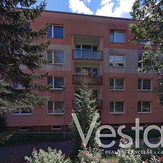 Pronájem bytu 1+1 34 m² Jílové Kamenná, Spojová