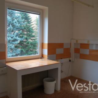 Pronájem Ostatních komerčních prostor 60 m² Děčín