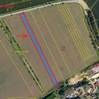 Prodej zemědělské půdy 3673 m² Hrušky