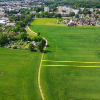 Prodej zemědělské půdy 3 215 m² Týniště nad Orlicí, Podboří