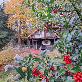 Prodej chaty 46 m² Vysoká Srbská, Závrchy