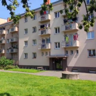 Pronájem bytu 2+1 60 m² Hradec Králové, Horova