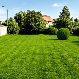 Prodej zahrady 623 m² Mělník, Chloumecká