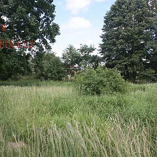 Pronájem ostatního pozemku 650 m² Planá nad Lužnicí, Soukenická