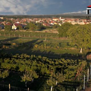 Prodej zahrady 350 m² Vranovice
