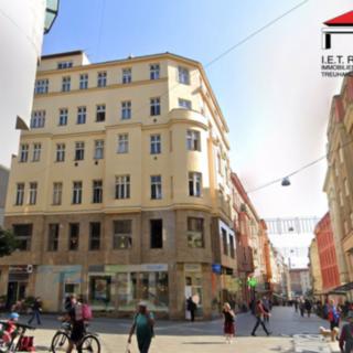 Pronájem bytu 3+1 106 m² Brno -město, Kozí