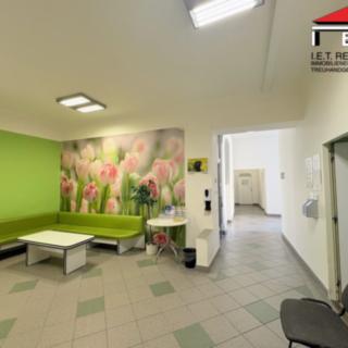 Pronájem ostatního komerčního prostoru 113 m² Brno -město, Orlí