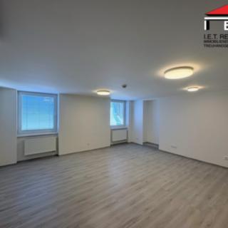 Pronájem hotelu a penzionu 65 m² Brno -město, Sukova