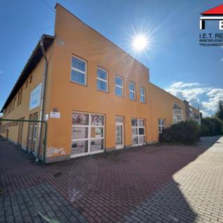 Pronájem skladu 65 m² Sviadnov