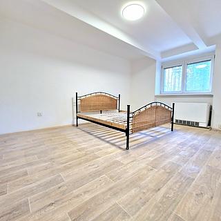 Prodej bytu 1+kk, garsoniery 29 m&sup2; Olomouc