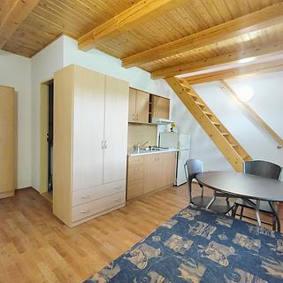 Pronájem bytu 1+1 35 m² Olomouc