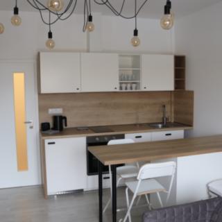 Pronájem bytu 1+kk a garsoniéry 35 m² Olomouc Lazce, Kubíčkova