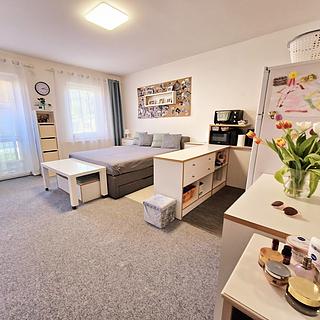 Pronájem bytu 1+kk, garsoniery 28 m&sup2; Olomouc