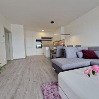 Pronájem bytu 4+kk 1 268 m² Olomouc Chválkovice, Železniční