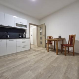 Pronájem bytu 1+1 45 m² Olomouc, Riegrova