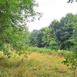 Pronájem zahrady 2 000 m² Krušovice