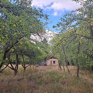 Pronájem zahrady 2508 m&sup2; Smečno