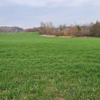 Prodej stavební parcely 12266 m² Nové Strašecí