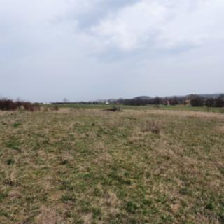 Prodej ostatního pozemku 638 m² Makotřasy
