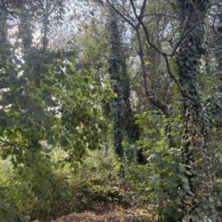 Prodej stavební parcely 357 m² Kamenný Přívoz
