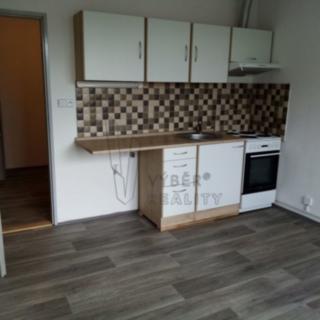 Pronájem bytu 1+kk a garsoniéry 21 m² Bílina Teplické Předměstí, Teplická