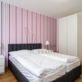 Pronájem bytu 2+1 73 m² Ostrava