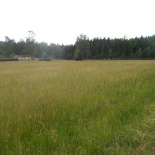 Prodej stavební parcely 5 199 m² Rybniště