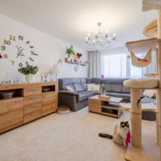 Prodej bytu 4+1 82 m² Praha Kamýk, Otradovická