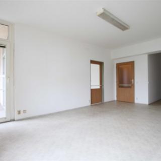 Prodej bytu 2+kk 65 m² Plzeň Severní Předměstí, Brněnská