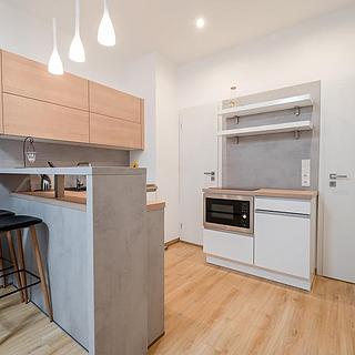 Pronájem bytu 1+kk, garsoniery, 29m&sup2;