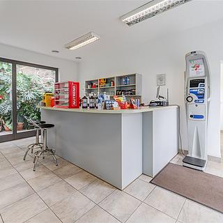 Dražba ostatního komerčního prostoru 318 m² Velké Popovice, Masarykova