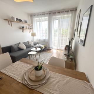 Pronájem bytu 2+kk 58 m² České Budějovice 3, U Trojice