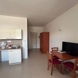 Pronájem bytu 1+kk a garsoniéry 29 m² České Budějovice, Jiráskovo nábř.