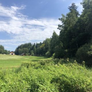 Prodej zemědělské půdy 2 302 m² Kaplice Žďár